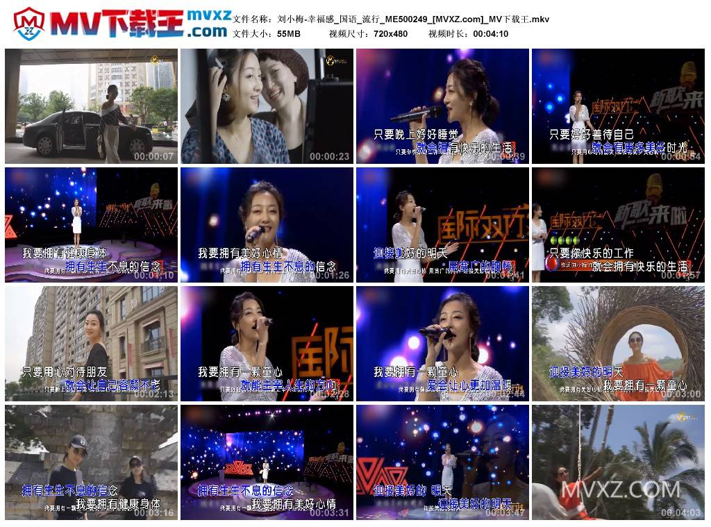 刘小梅-幸福感_国语_流行_ME500249